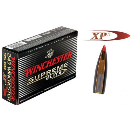 WINCHESTER SUPREME 243 WIN 95GR