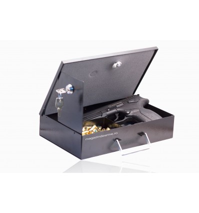 Cutie pistol si munitie Tip simplu