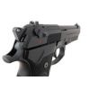 M9A1 AEP