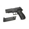 P226 RAIL