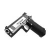 HI-CAPA - DUAL STAINLESS