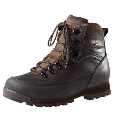 Trekking GTX® 6″